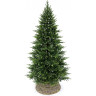 Новогодняя елка TRIUMPH TREE, Лесная Красавица стройная, 215 см, зеленая 73904